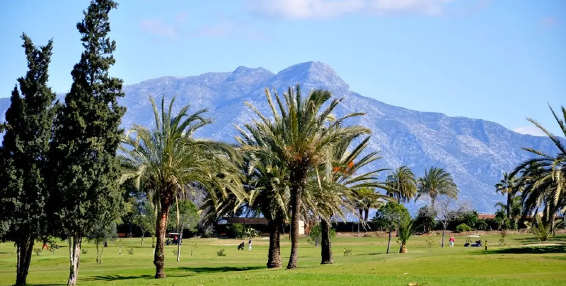 Краткосрочная аренда таунхауса в Estepona 38