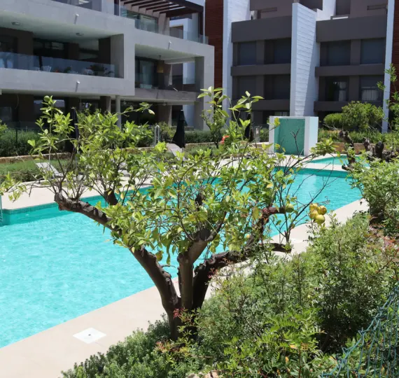 Краткосрочная аренда пентхауса в Cancelada