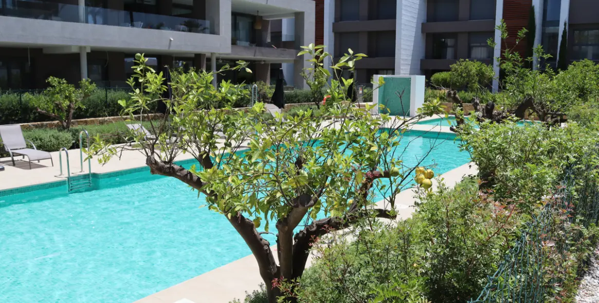 Short-term rent of penthouse in Cancelada 3