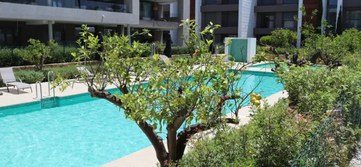 Short-term rent of penthouse in Cancelada 2