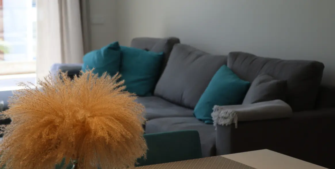 Short-term rent of penthouse in Cancelada 9