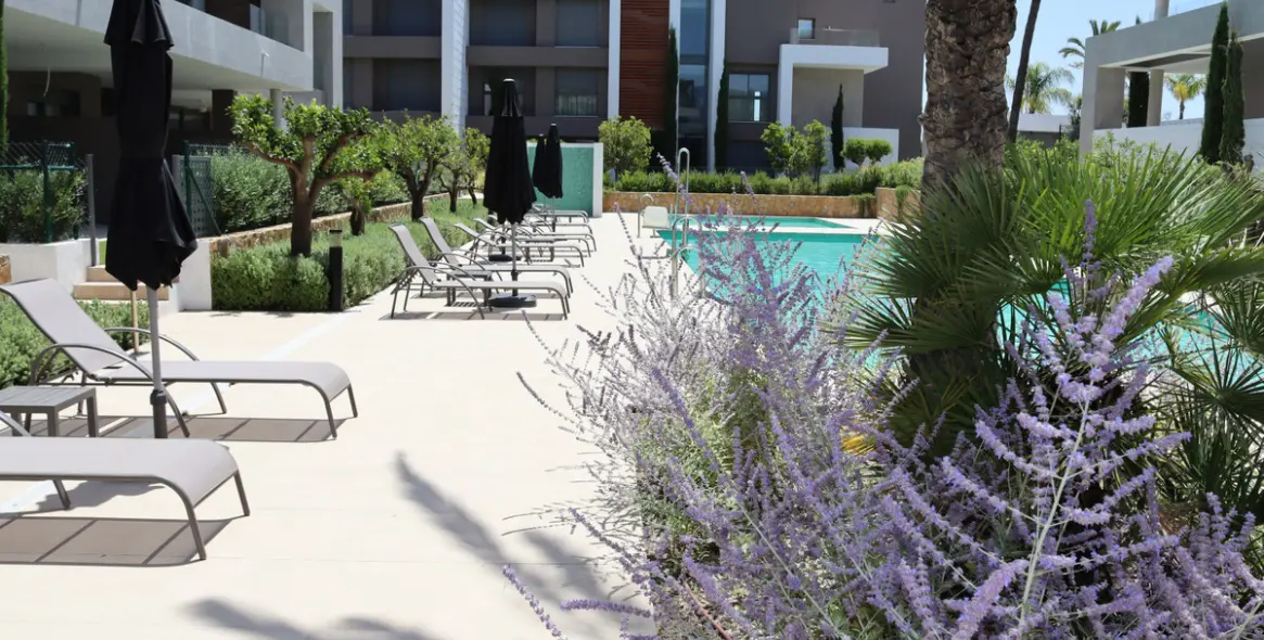 Short-term rent of penthouse in Cancelada 10