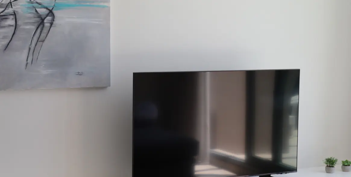 Short-term rent of penthouse in Cancelada 25