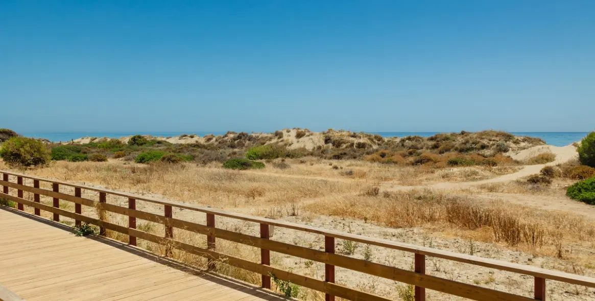 Long-term rent of ground floor apartment in Bahía de Marbella 5