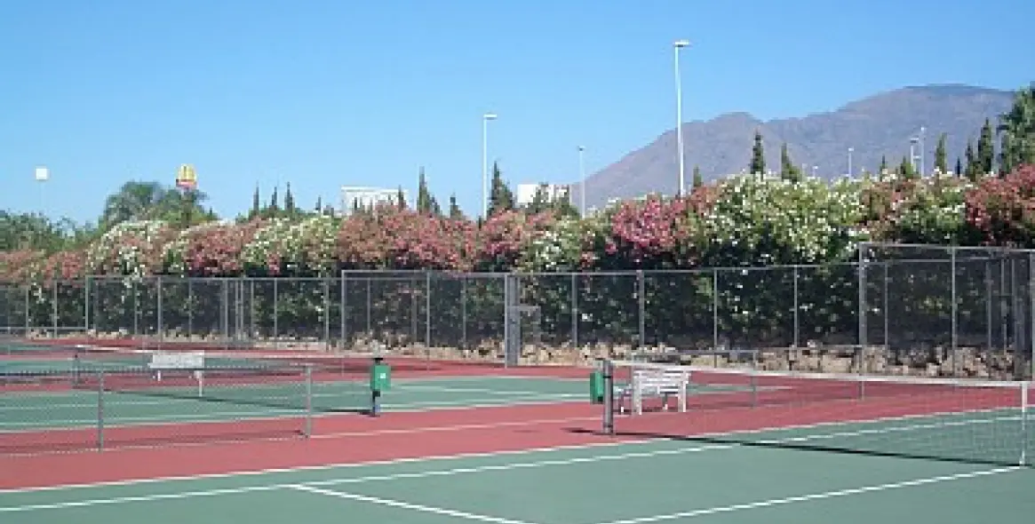 Краткосрочная аренда пентхауса в Estepona 12