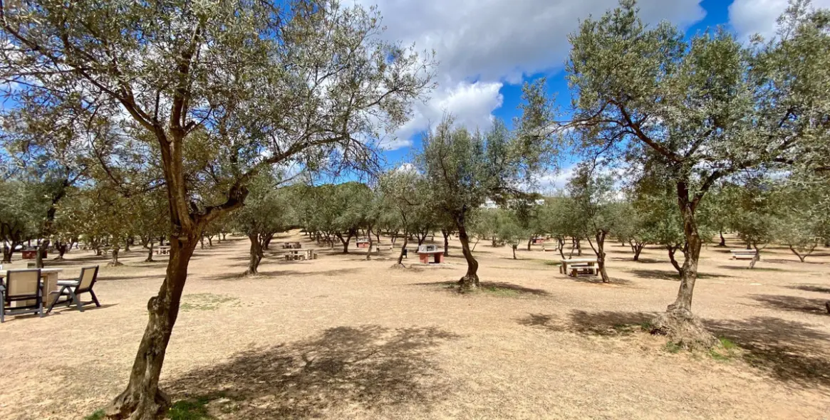 Venta de apartamento en planta media en La Cala de Mijas 45