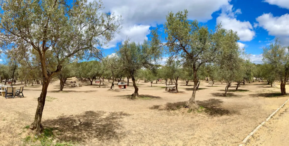 Venta de apartamento en planta media en La Cala de Mijas 46