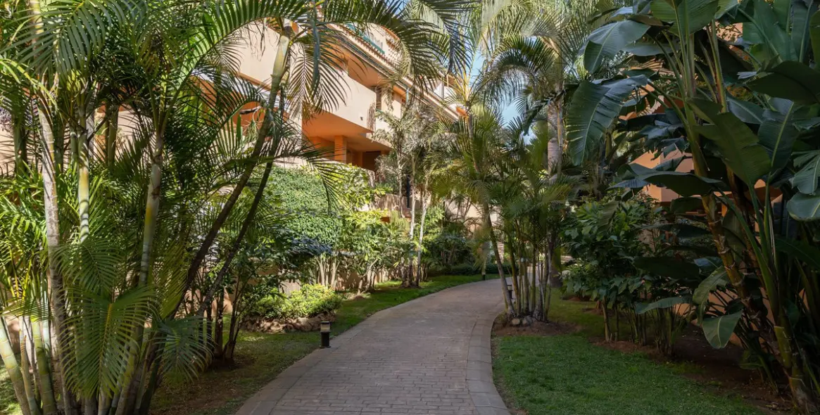 Short-term rent of penthouse in El Rosario 17