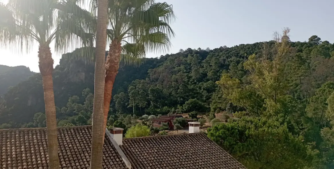 Short-term rent of townhouse in Benahavís 7