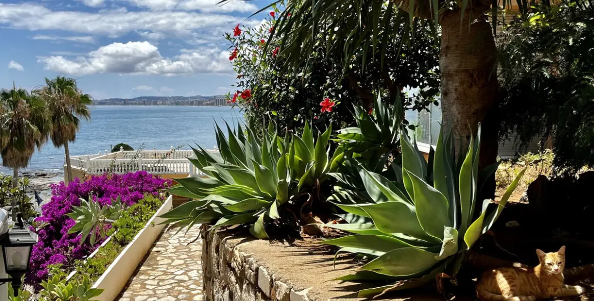 Alquiler a corto plazo de apartamento en planta media en Benalmadena 3
