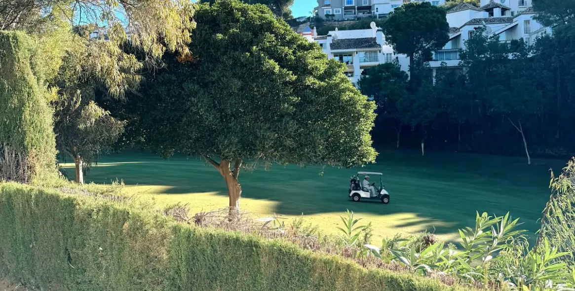 Alquiler a corto plazo de apartamento en planta baja en La Quinta 56
