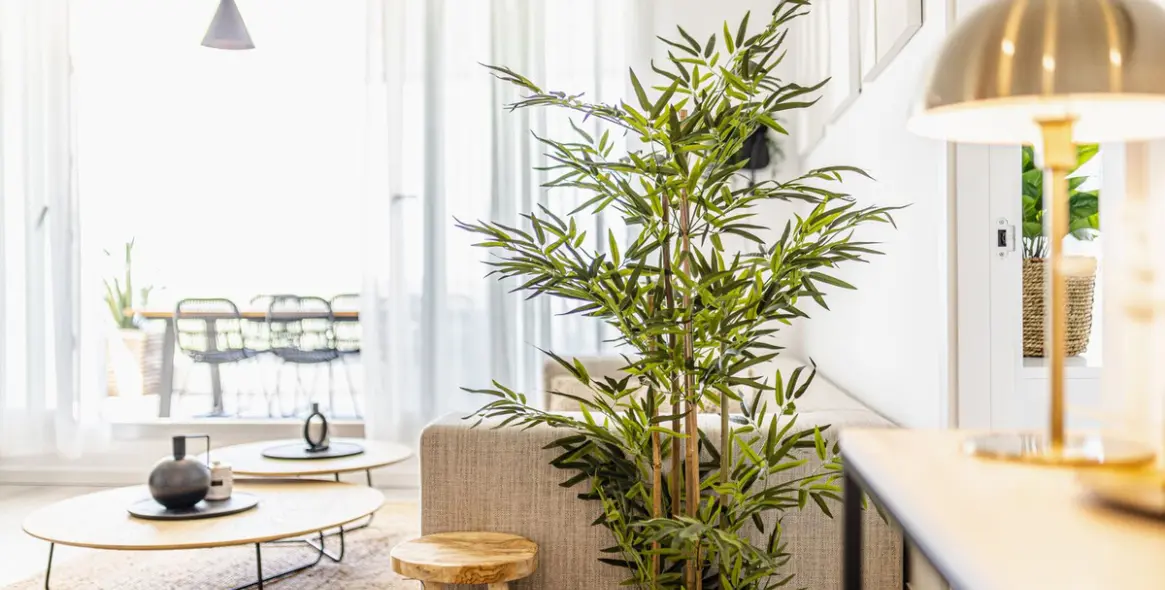 Краткосрочная аренда апартаментов на первом этаже в Cancelada 8