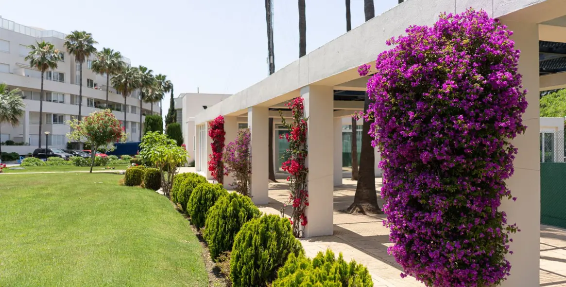 Alquiler a corto plazo de apartamento en planta media en New Golden Mile 22