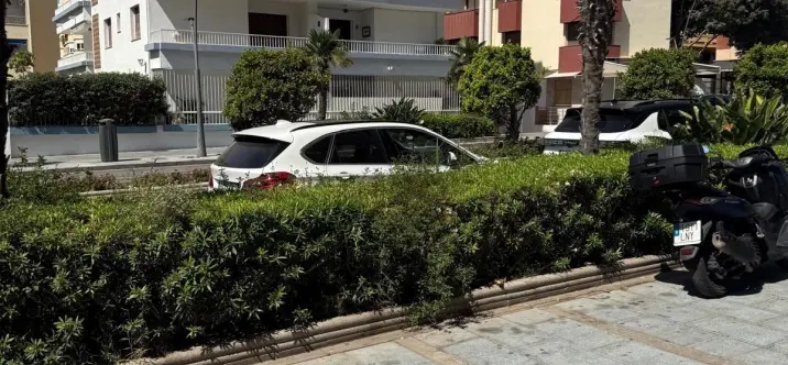 Long-term rent of bar in Marbella 1