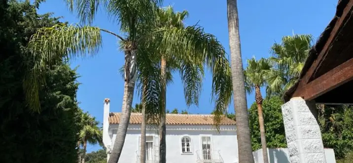 Long-term rent of detached villa in New Golden Mile 1