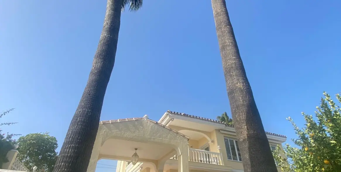 Short-term rent of detached villa in Elviria 3