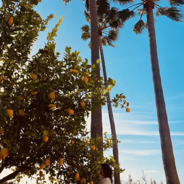 Краткосрочная аренда  отдельно стоящей виллы в Elviria