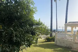 Image 7 thumb