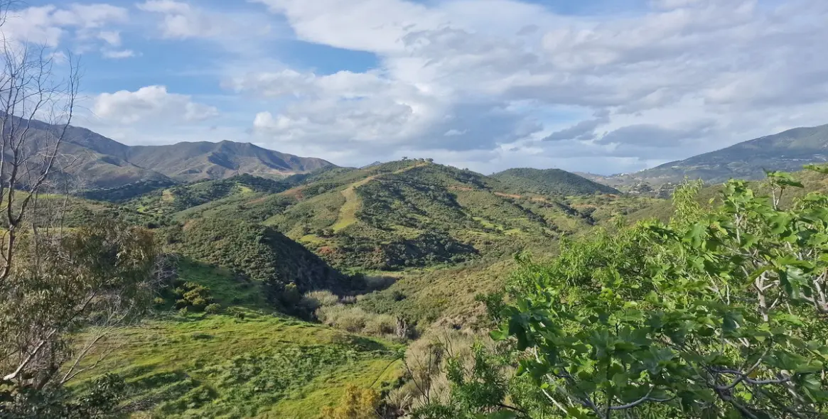 Alquiler a corto plazo de villa independiente en La Cala de Mijas 44
