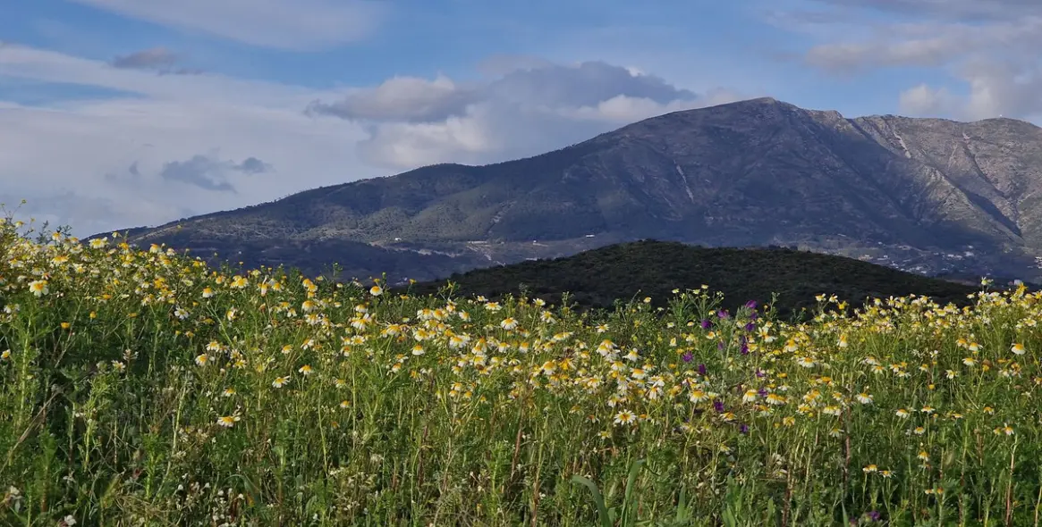 Alquiler a corto plazo de villa independiente en La Cala de Mijas 51