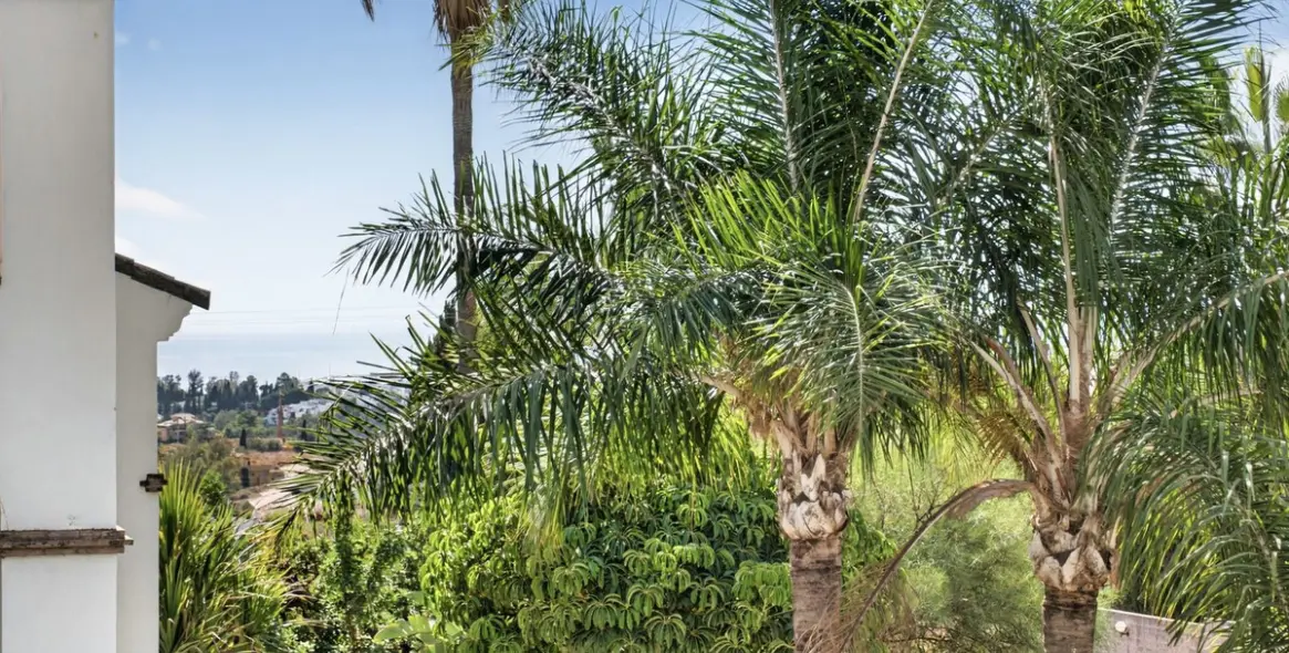 Долгосрочная аренда апартаментов на среднем этаже в Nagüeles 7