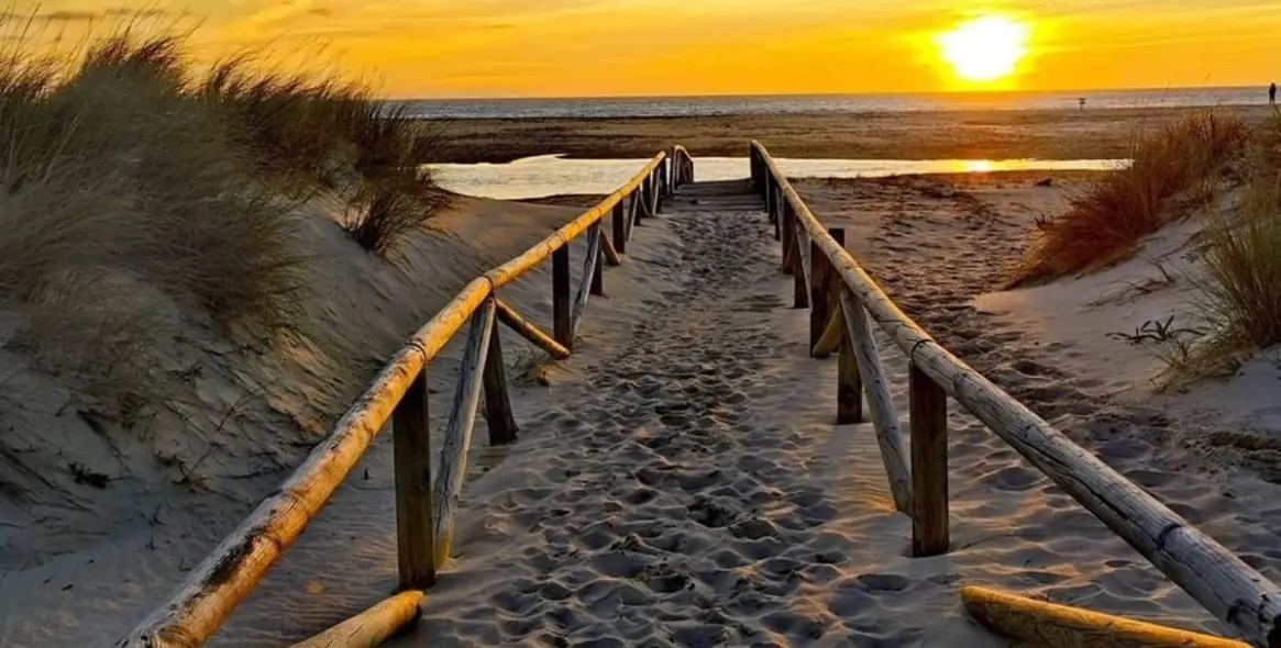 Краткосрочная аренда  отдельно стоящей виллы в Marbella 63