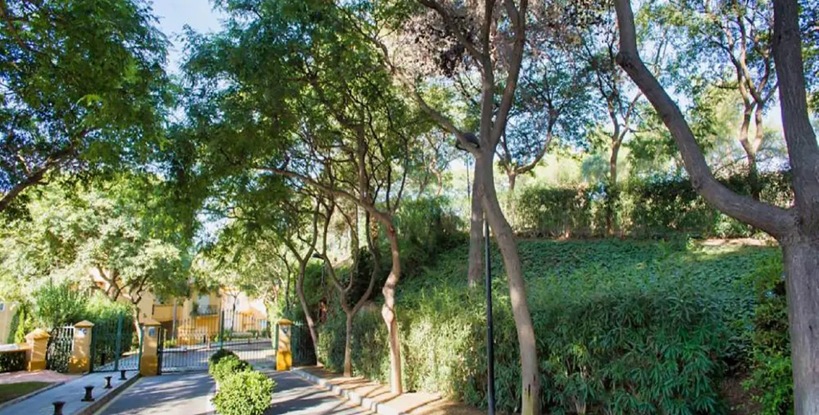 Краткосрочная аренда пентхауса в Marbella 35