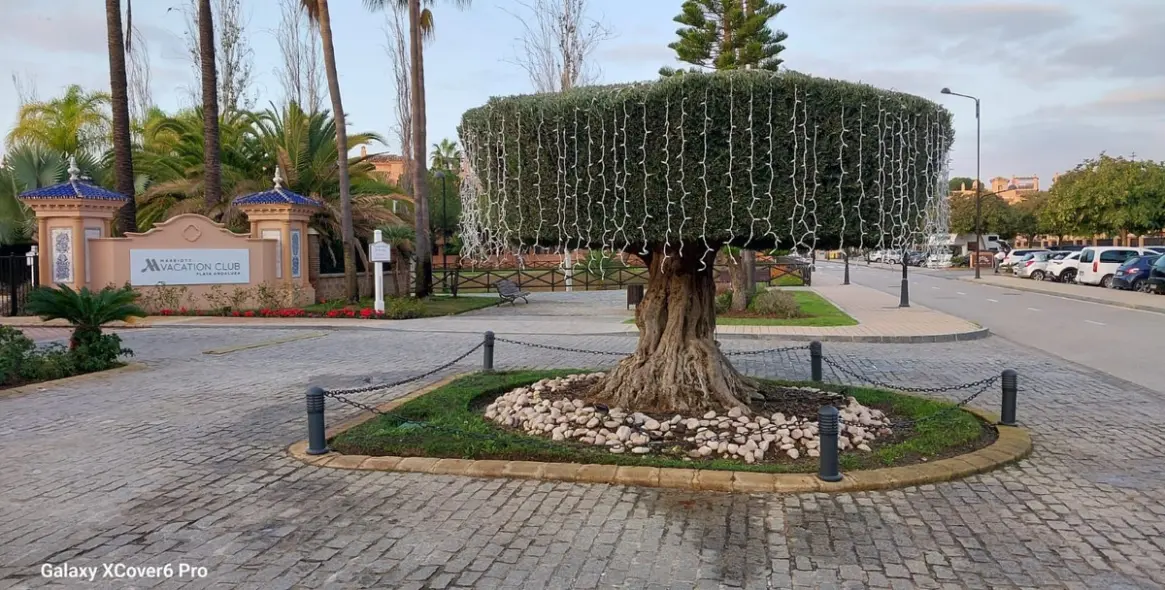 Long-term rent of ground floor apartment in Hacienda del Sol 29