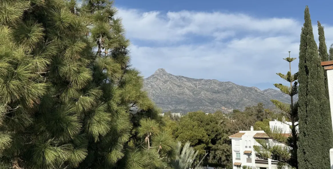 Краткосрочная аренда двухуровневого пентхауса в Puerto Banús 26