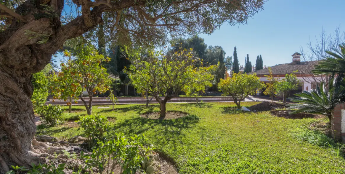 Краткосрочная аренда  отдельно стоящей виллы в El Rosario 86