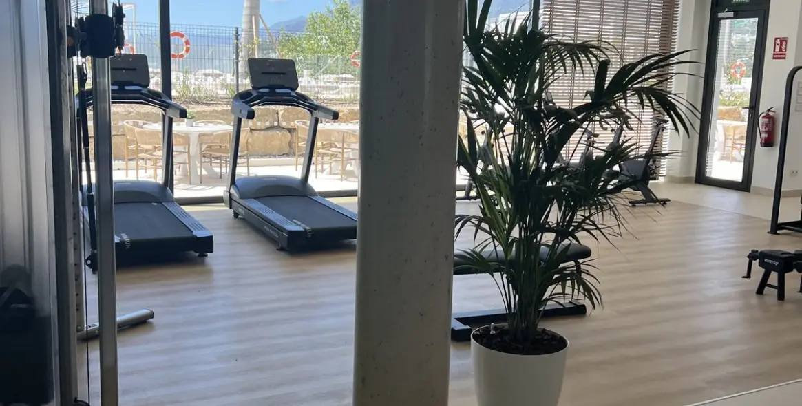 Short-term rent of penthouse duplex in Los Monteros 35