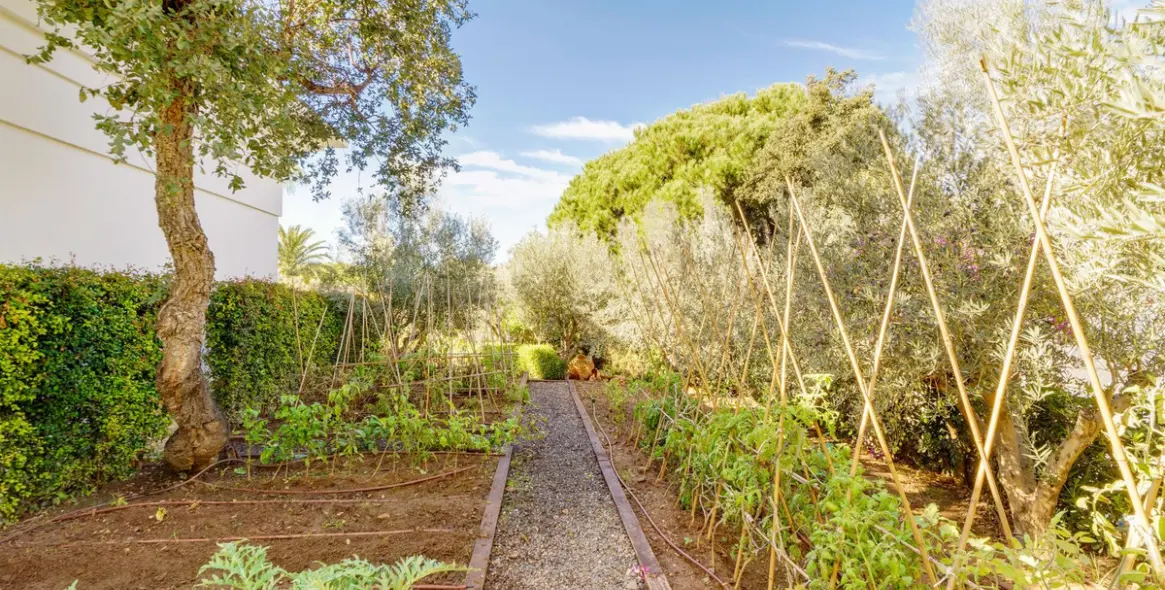 Long-term rent of detached villa in Las Chapas 25