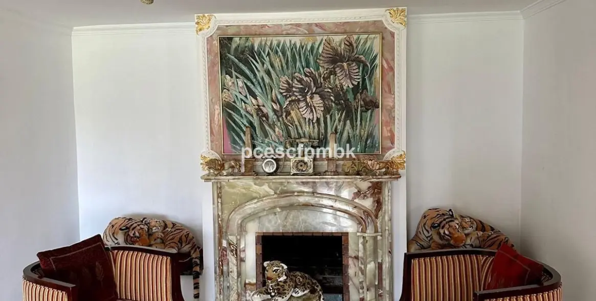 Краткосрочная аренда  отдельно стоящей виллы в Estepona 18