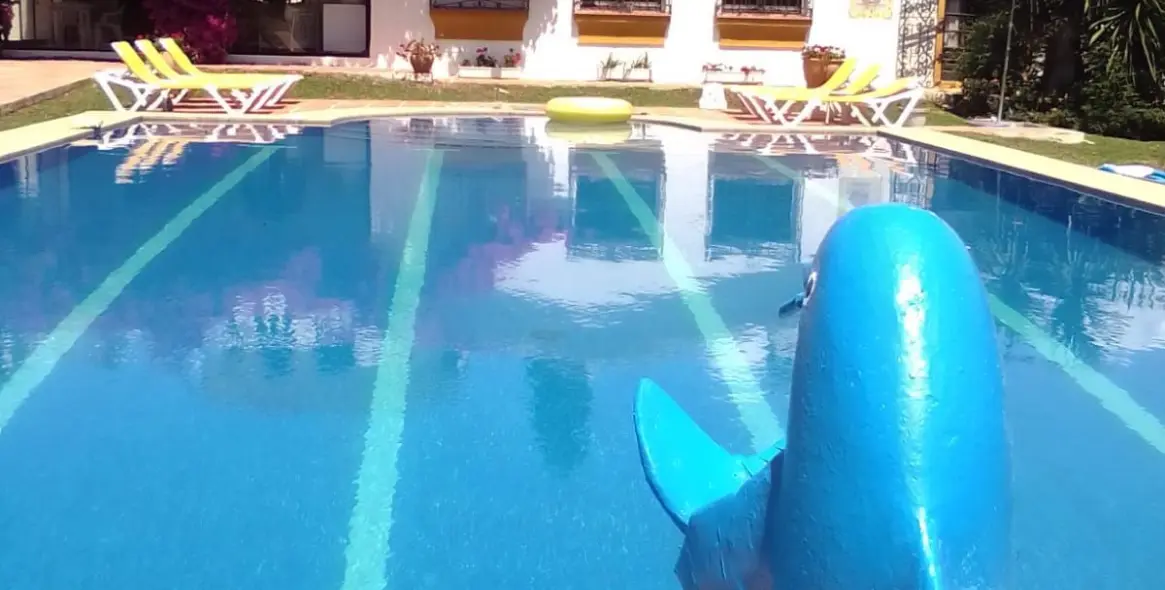 Short-term rent of detached villa in San Pedro de Alcántara 1