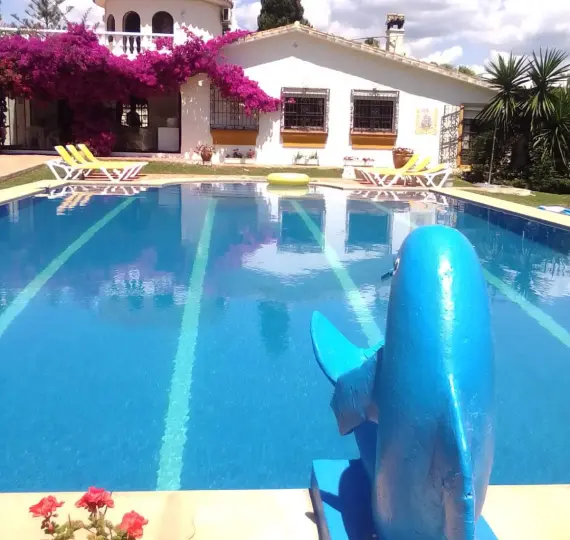 Short-term rent of detached villa in San Pedro de Alcántara