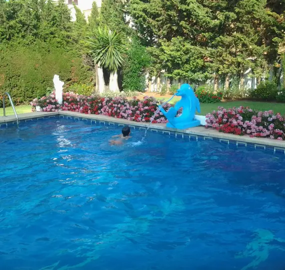 Short-term rent of detached villa in San Pedro de Alcántara