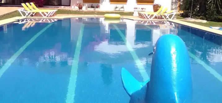 Alquiler a corto plazo de villa independiente en San Pedro de Alcántara 0