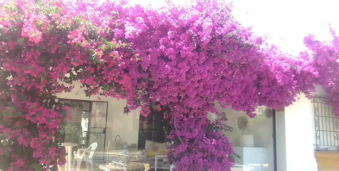 Краткосрочная аренда  отдельно стоящей виллы в San Pedro de Alcántara 32