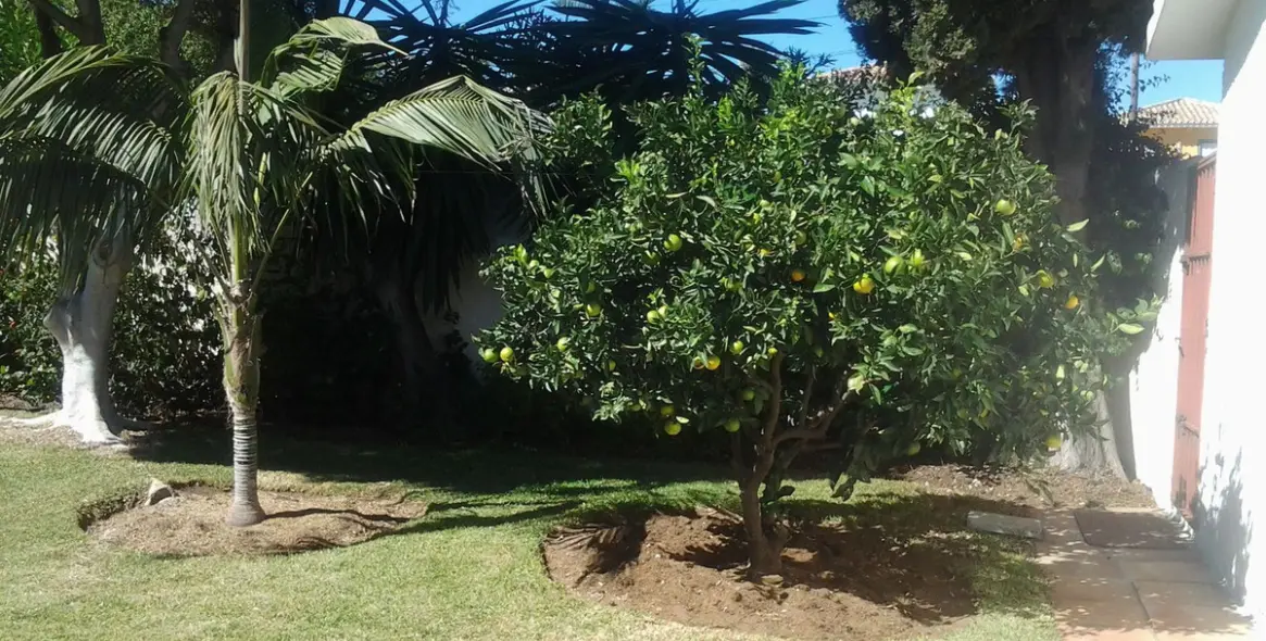 Краткосрочная аренда  отдельно стоящей виллы в San Pedro de Alcántara 38