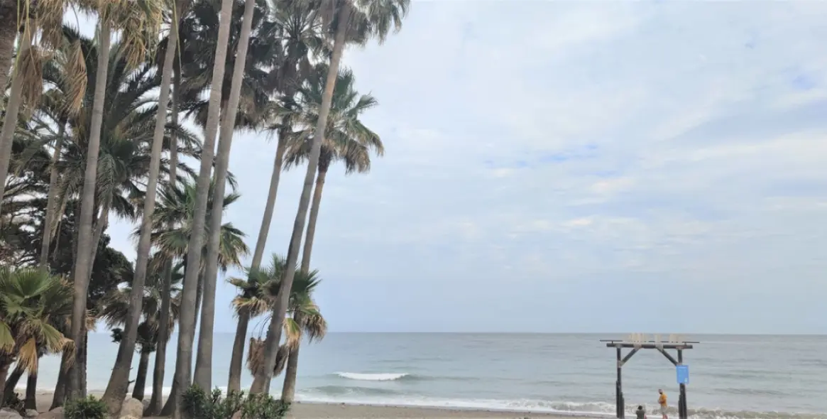 Краткосрочная аренда  отдельно стоящей виллы в San Pedro de Alcántara 46