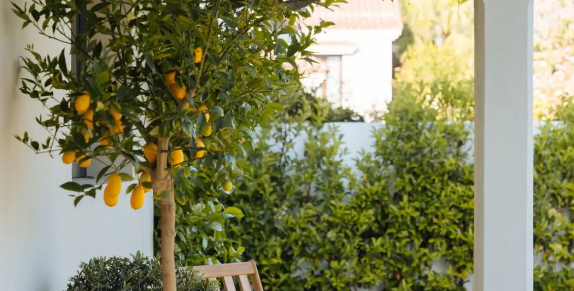 Краткосрочная аренда  отдельно стоящей виллы в Marbella 23