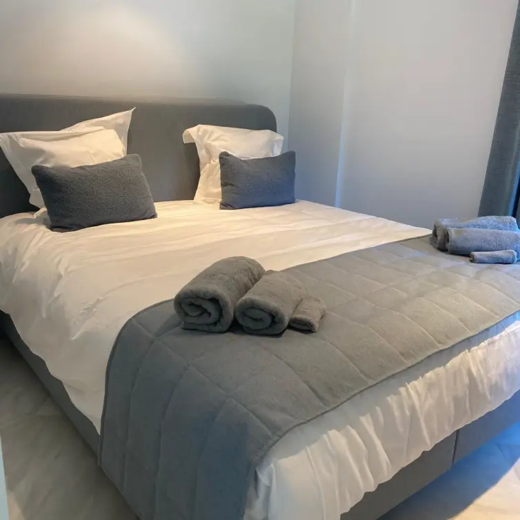 Short-term rent of detached villa in Marbella