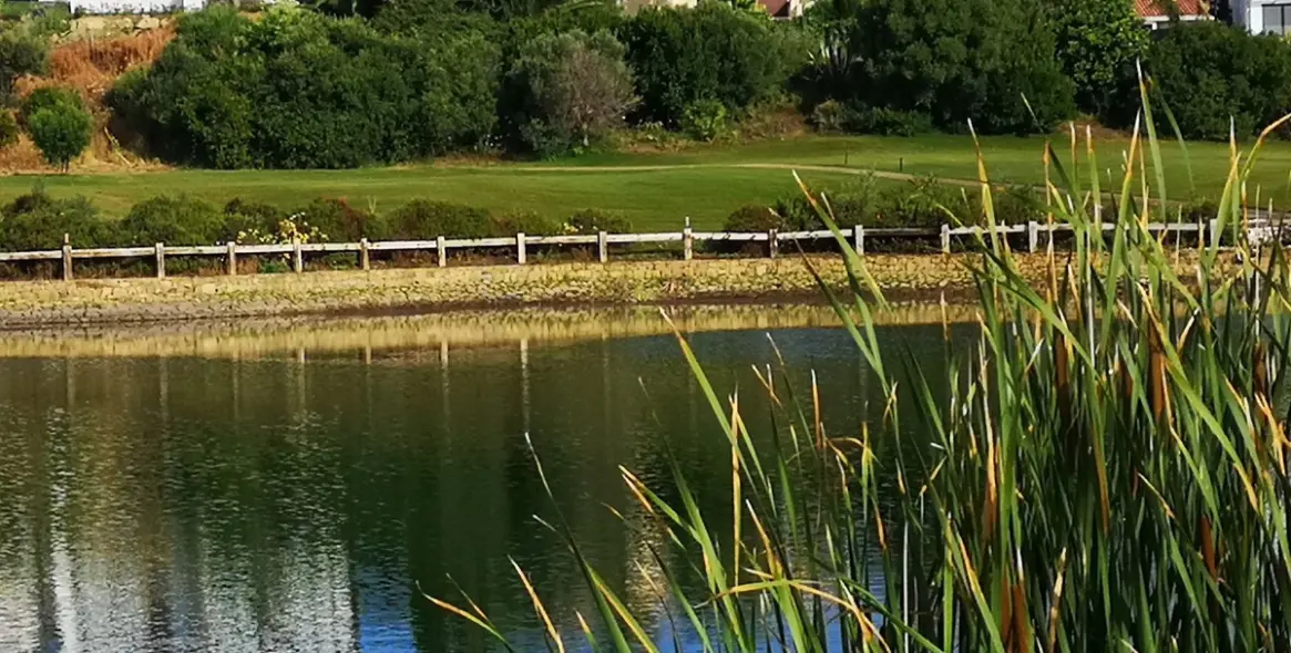 Краткосрочная аренда  отдельно стоящей виллы в Estepona 8