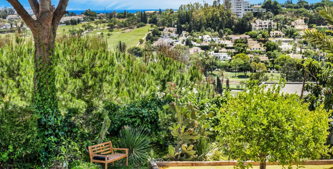 Short-term rent of detached villa in El Paraiso 55