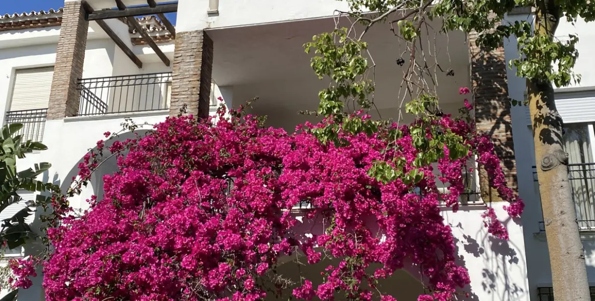 Long-term rent of middle floor apartment in New Golden Mile 13