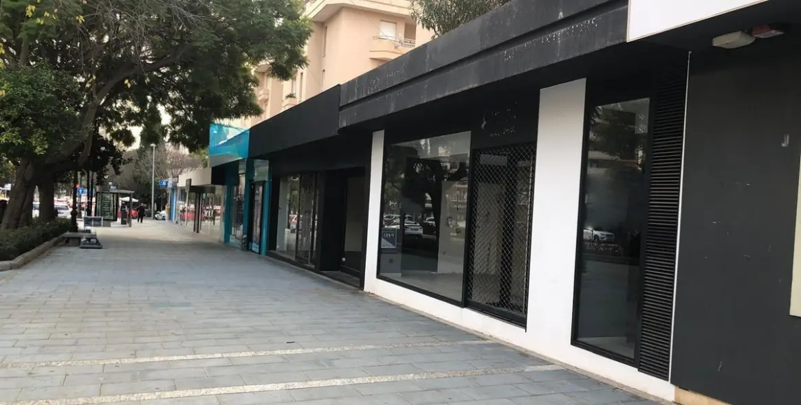 Long-term rent of commercial premises in Marbella 7