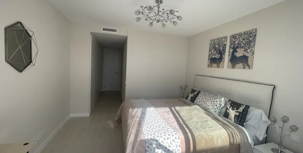 Long-term rent of penthouse in Selwo 14