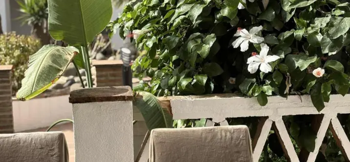 Ground floor apartment R5185249 3