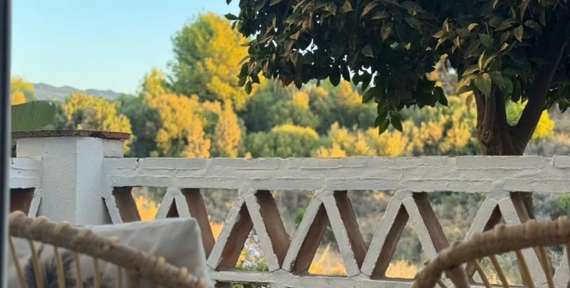 Long-term rent of ground floor apartment in Marbella (district Marbella) 6