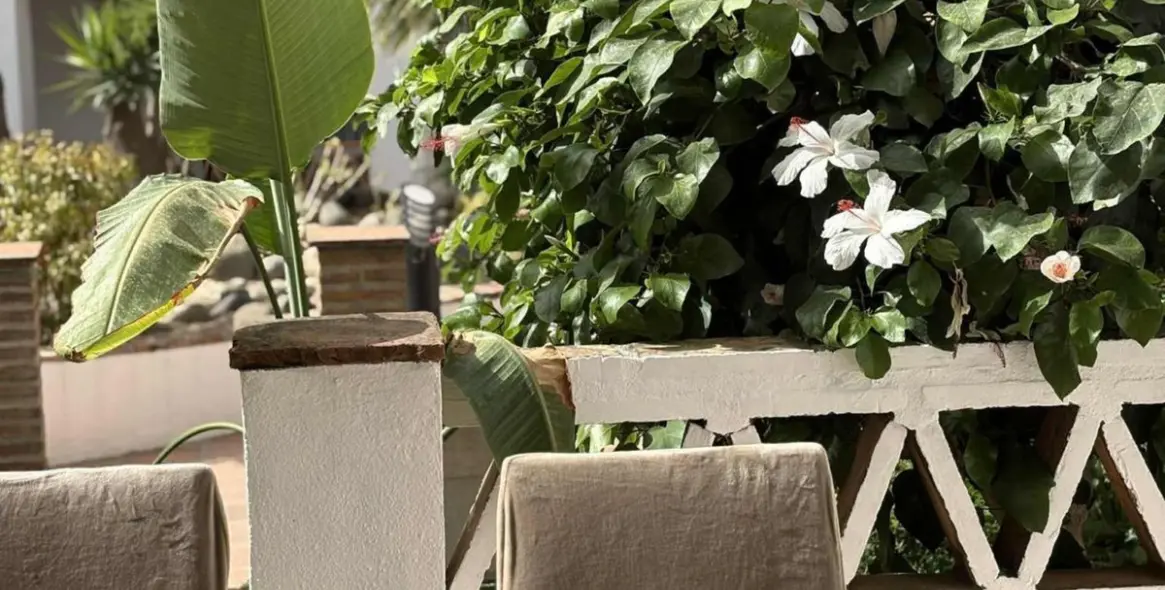 Alquiler a largo plazo de apartamento en planta baja en Marbella 4